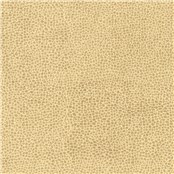 Animal_Cheetah