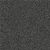 Beaucoup_Anthracite