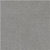 Beaucoup_Grey