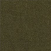 Brompton_Spinach