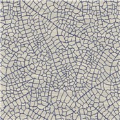 Calyx_Genoa