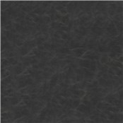 Cantina_Black