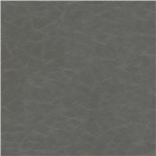 Cantina_Gray