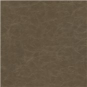 Cantina_Mink