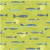 Catch_Me_If_You_Can_Tetra