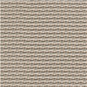 Chain_Link_Champagne