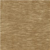 Champagne_Cashmere