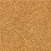 Classic_Umber