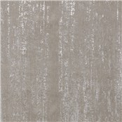 Collins_Ave_Dove