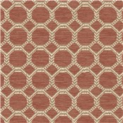 Elegant_Coral
