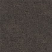 English_Leather_Otter
