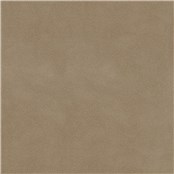 English_Suede_Show_Hunter