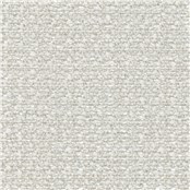 Euphoria_Birch
