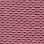 First_Class_Aster