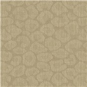 Jasper_Straw