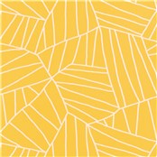 Las_Palmas_Nasturtium