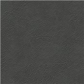 Lone_Star_Carbon