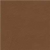 Lone_Star_Chestnut