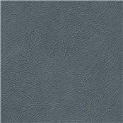Lone_Star_Slate