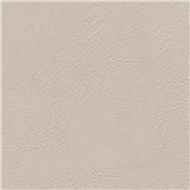Lone_Star_Taupe