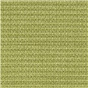 Loom_Fern