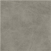 McQueen_Silver_Dollar