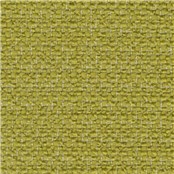 Merchant_Kiwi