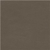 Pearlescent_Teak