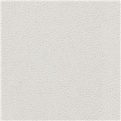 Pelle_Mystic_Beige