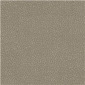 Percheron_Latte