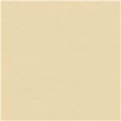 Pinkerton_Pat_Garrett