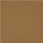 Pinkerton_Wild_Bunch