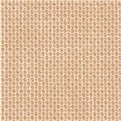 Poise_Coral