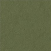 Purevelour_Avocado