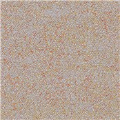 Reef_Coral