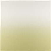 Rx_1008_Restorative