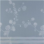 Rx_2016_Brunnera