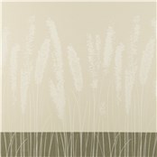 Rx_4001_Natural
