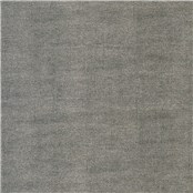 Sharkskin_Nurse