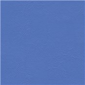 Sightsee_Hydrangea