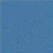 Sightsee_Kingfisher