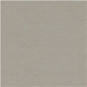 Stagecoach_Hathi_Gray