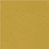 Telfair_Goldenrod