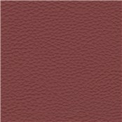 Thoroughbred_Claret