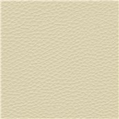 Thoroughbred_Ivory