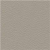 Thoroughbred_Pebble