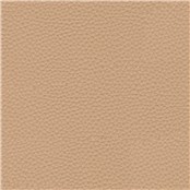 Thoroughbred_Petal