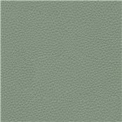 Thoroughbred_Sage