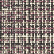 Tricolore_Violet