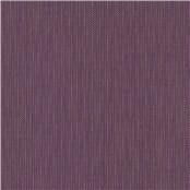Unwind_Elderberry